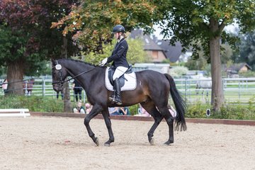 Bild 376 - Fuchshof Turnier